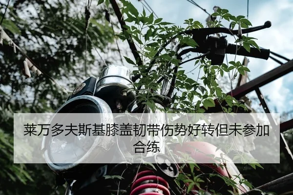莱万多夫斯基膝盖韧带伤势好转但未参加合练