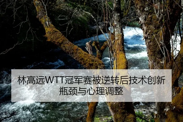 林高远WTT冠军赛被逆转后技术创新瓶颈与心理调整